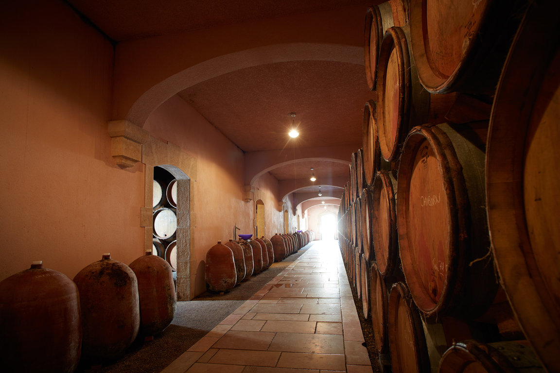 Wine-ageing at Frédéric Magnien, between old oak barrels and terra-cotta jars. 